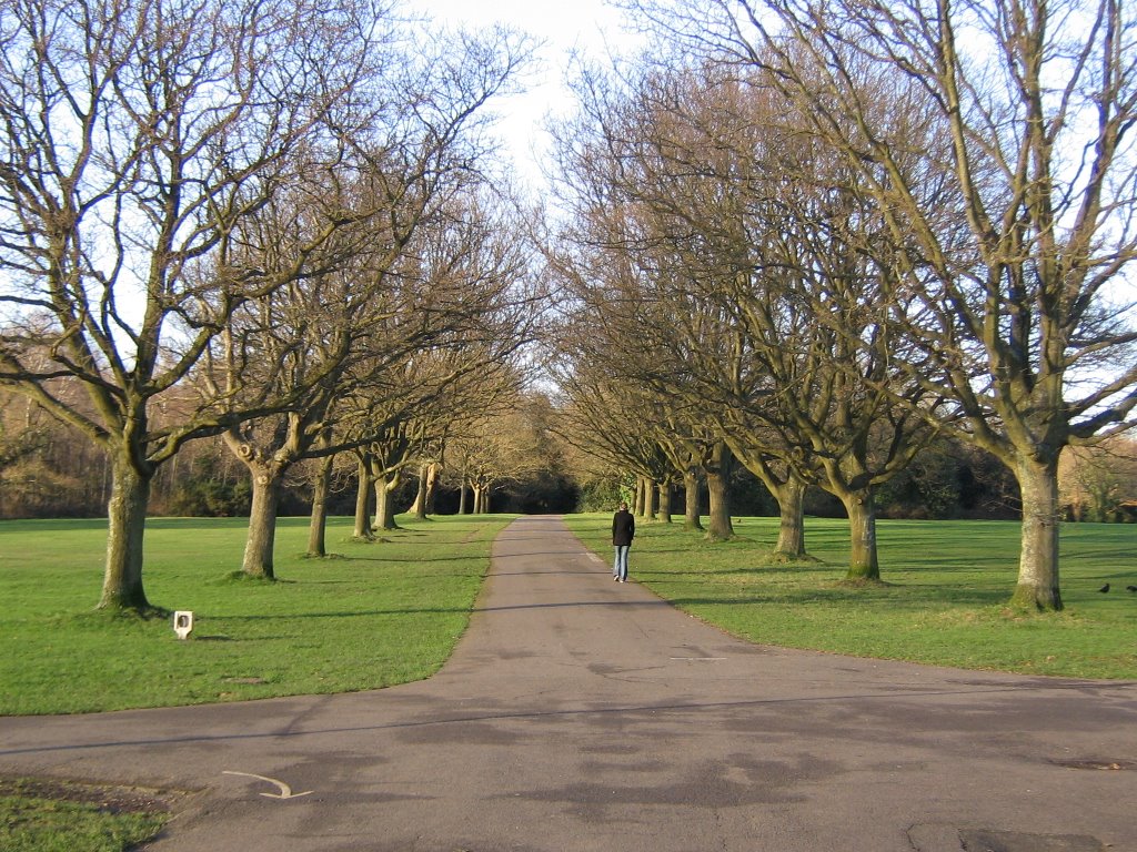 2341903.jpg