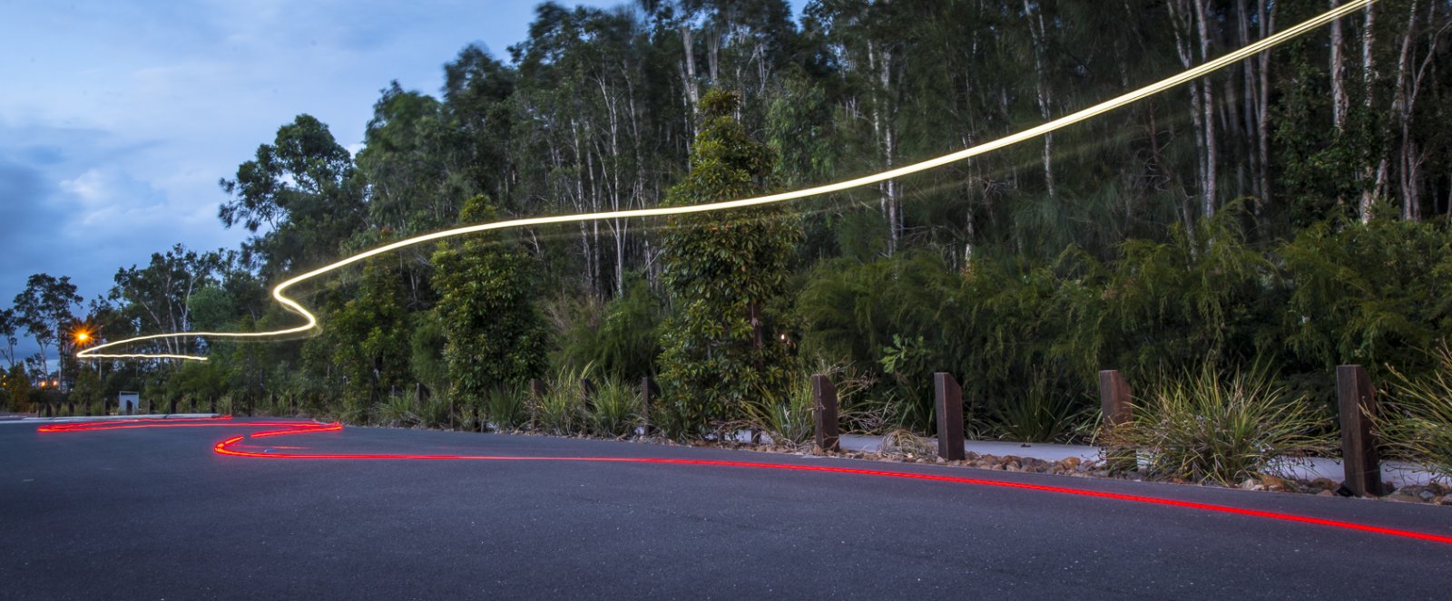 nrphotography L Rx-1.jpg