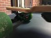 IMG_2044.jpeg