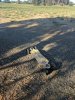 IMG_20170216_182100.jpg