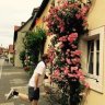 Georg.a