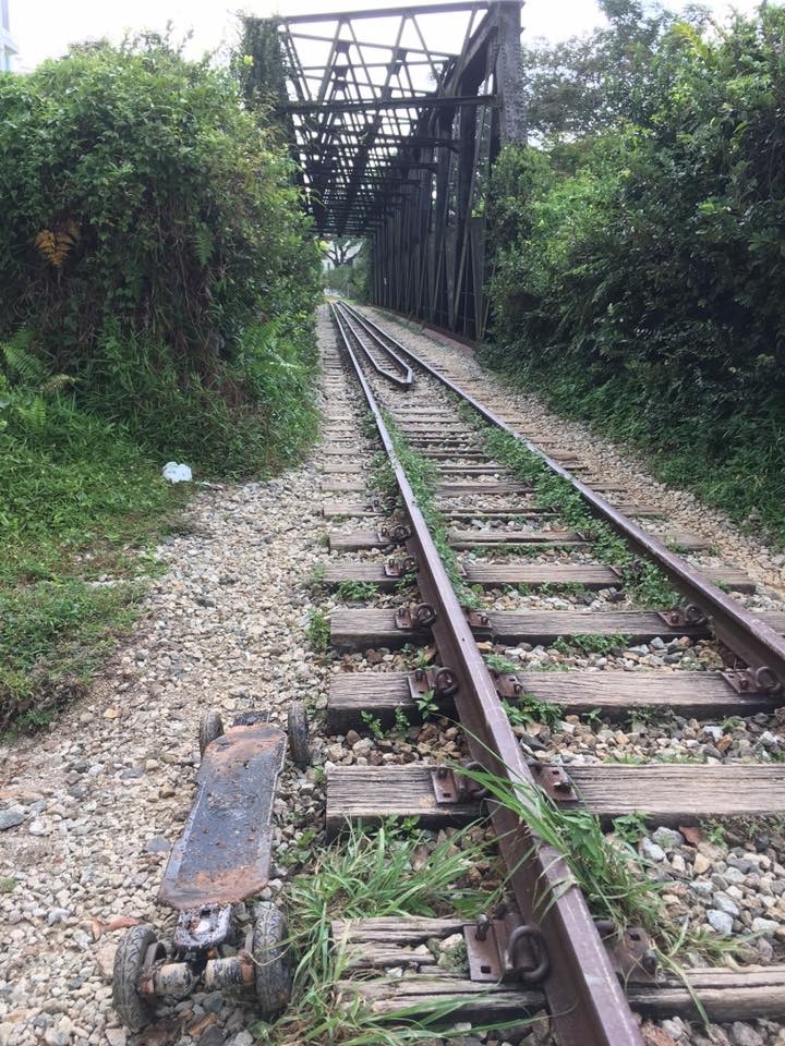Green Corridor at the Bukit Timah Junction