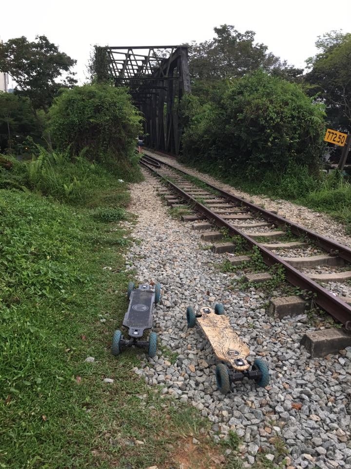 Green Corridor, Bukit Timah crossing
