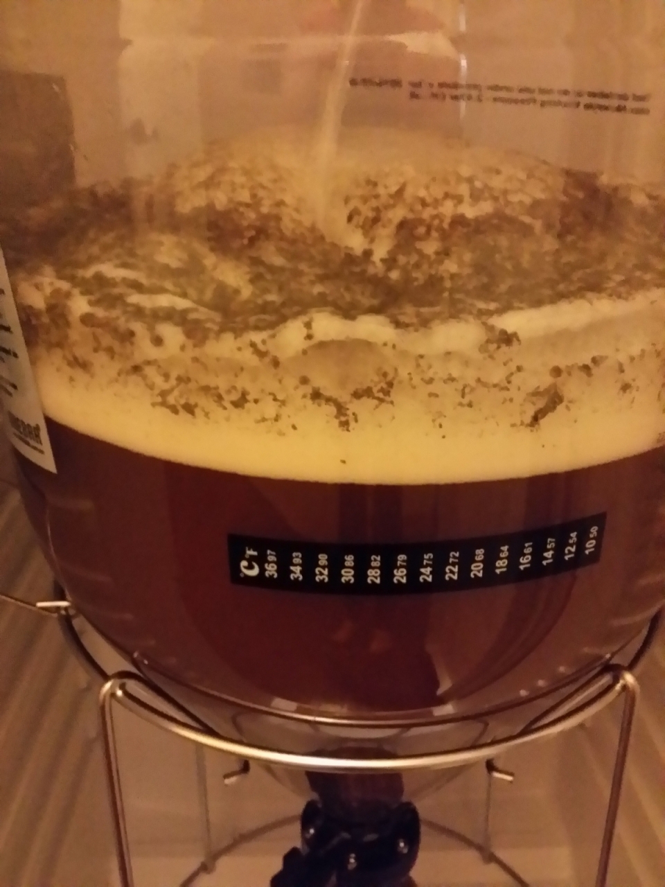 brewing beer