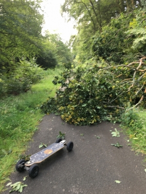 81CD7ABD-5FE4-4159-9693-D888D3F294DA