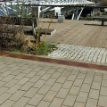17360788_1412778488768477_1230522809_n