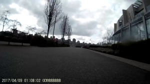 science world / english bay evolve carbon gt