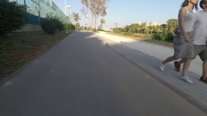 Electric SkateBoard - MetroBoard