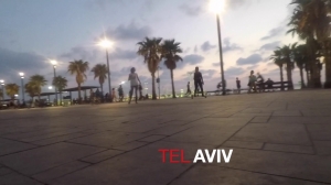 Tel Aviv Boarding - Longboards  and Evolve Gen. 2